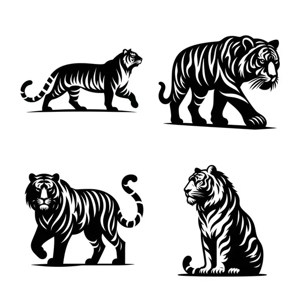 Kaplan, kaplan, kaplan, aslan ve kaplan seti. vektör çizimleri.