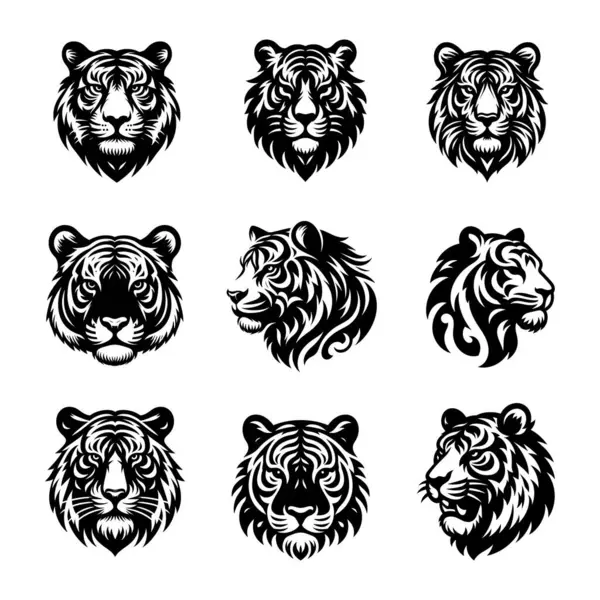 Kaplan vektör kümesi