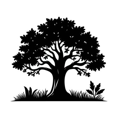 Büyük yapraklı ağaç silueti. vektör illüstrasyonu