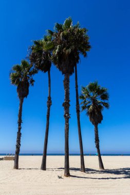 Venice beach Los Angeles