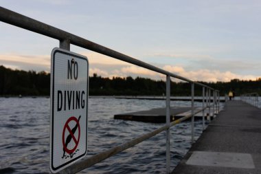 Washington Gölü 'nde Dalış İşareti Yok