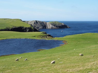 Minn plajı, ya da Bannaminn plajı, Shetland adalarında çarpıcı bir tombolo. Mavi gökyüzü, turkuaz su ve beyaz kum. Shetland Adaları. İskoçya