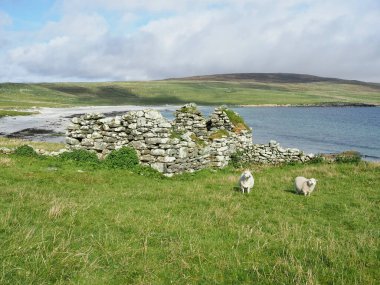 Deniz manzaralı. Deniz manzarası. Shetland Adaları. İskoçya. Shetland, İskoçya 'da Orkney, Faroe Adaları ve Norveç arasında bulunan bir takımadadır. Birleşik Krallık 'ın en kuzeyindeki bölgedir..