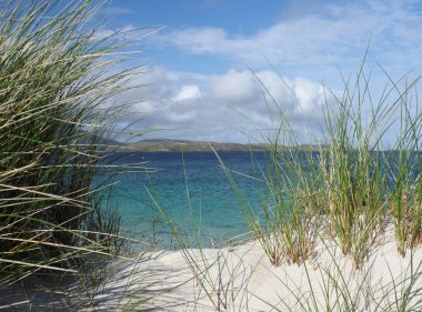 Vatersay, Barra Adası 'nda çarpıcı bir plaj. Hebrides 'in dışında. İskoçya. Vatersay Körfezi geniş kum tepeleri olan güzel bir kumlu körfezdir. Vatersay, Barra adasının güneyinde, Hebrides 'in en güneyinde yaşayan adadır..