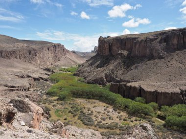 Cueva de los Manos veya Patagonya 'daki El Mağarası. Arjantin 'in Santa Cruz eyaletindeki bir mağara ve taş sanat eserleri kompleksi. Mağaraya yüzlerce el resmi adı verildi..