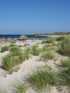 Coll Adası 'ndaki çarpıcı plaj. İç Hebrides. İskoçya. Coll Adası küçük bir Hebridean adasıdır, keşfedilmesi gereken pek çok harika plajı olan çok uzak bir patikadır..