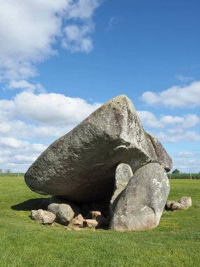 Brownshill Dolmen, İrlanda 'nın Carlow ilçesinde bulunan çok büyük bir megalitik portal mezarıdır. Kapsülü yaklaşık 150 ton ağırlığındadır ve Avrupa 'nın en ağırı olarak bilinir..