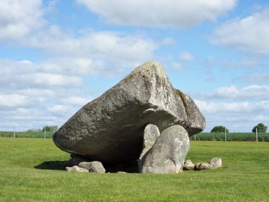 Brownshill Dolmen, İrlanda 'nın Carlow ilçesinde bulunan çok büyük bir megalitik portal mezarıdır. Kapsülü yaklaşık 150 ton ağırlığındadır ve Avrupa 'nın en ağırı olarak bilinir..