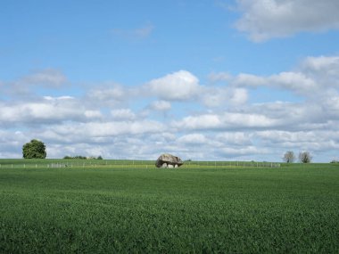 Brownshill Dolmen, İrlanda 'nın Carlow ilçesinde bulunan çok büyük bir megalitik portal mezarıdır. Kapsülü yaklaşık 150 ton ağırlığındadır ve Avrupa 'nın en ağırı olarak bilinir..