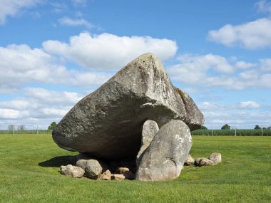 Brownshill Dolmen, İrlanda 'nın Carlow ilçesinde bulunan çok büyük bir megalitik portal mezarıdır. Kapsülü yaklaşık 150 ton ağırlığındadır ve Avrupa 'nın en ağırı olarak bilinir..