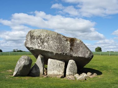 Brownshill Dolmen, İrlanda 'nın Carlow ilçesinde bulunan çok büyük bir megalitik portal mezarıdır. Kapsülü yaklaşık 150 ton ağırlığındadır ve Avrupa 'nın en ağırı olarak bilinir..