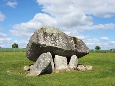 Brownshill Dolmen, İrlanda 'nın Carlow ilçesinde bulunan çok büyük bir megalitik portal mezarıdır. Kapsülü yaklaşık 150 ton ağırlığındadır ve Avrupa 'nın en ağırı olarak bilinir..