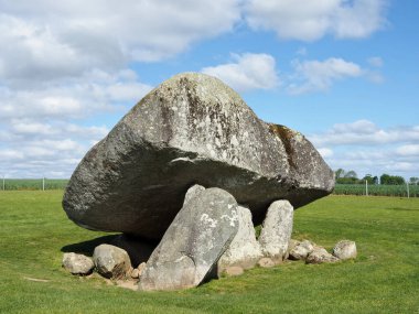 Brownshill Dolmen, İrlanda 'nın Carlow ilçesinde bulunan çok büyük bir megalitik portal mezarıdır. Kapsülü yaklaşık 150 ton ağırlığındadır ve Avrupa 'nın en ağırı olarak bilinir..