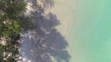 Beyaz Kum 'la güzel bir tropikal plaja tepeden bakın bu görüntüler tropikal bir plajın cennet gibi cazibesini özetliyor, rahatlama ve kaçma hissi uyandırıyor..