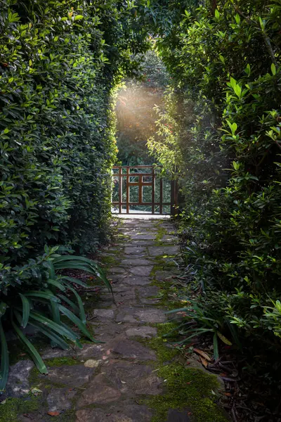 stock image beautiful view of the park at daytime 