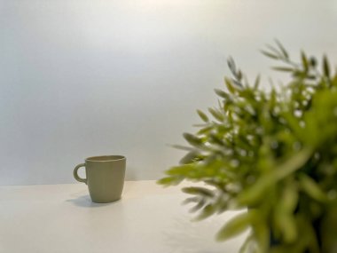 Beyaz arka planda yeşil bitkili kahve fincanı. Yaratıcı fotoğraf.