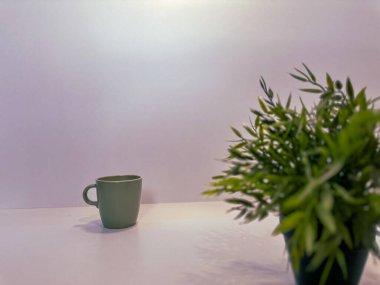 Beyaz arka planda yeşil bitkili kahve fincanı. Yaratıcı fotoğraf.