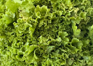 Marulun yakın plan fotoğrafı.