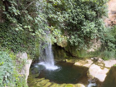 Küçük bir şelale küçük bir su havuzuna akıyor. Su yeşil ve havuzun etrafındaki kayalar kahverengidir. Huzurlu ve huzurlu bir sahne.