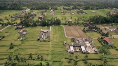 Ubud Bali Endonezya 'daki Pirinç Tarlası, Köy, Ev, Villa Havadan Görünümü