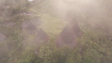 Waerebo Flores Endonezya 'daki Antik Köy, Orman, Dağ Havadan Görünümü
