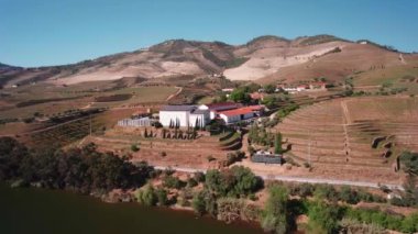 Douro Vadisi 'ndeki Vineyard, Hills, Trees ve River' ın Hava Görüntüsü