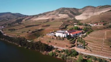 Douro Vadisi 'ndeki Vineyard, Hills, Trees ve River' ın Hava Görüntüsü