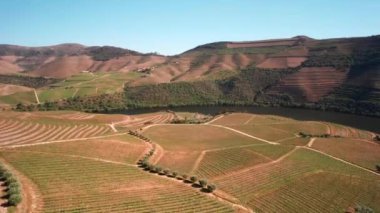 Douro Vadisi 'ndeki Vineyard, Hills, Trees ve River' ın Hava Görüntüsü