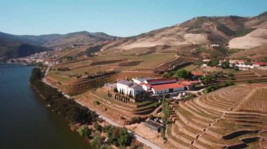 Douro Vadisi 'ndeki Vineyard, Hills, Trees ve River' ın Hava Görüntüsü