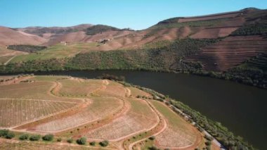 Douro Vadisi 'ndeki Vineyard, Hills, Trees ve River' ın Hava Görüntüsü