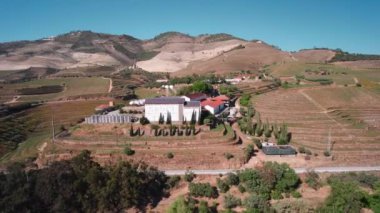 Douro Vadisi 'ndeki üzüm bağlarının, tepelerin ve ağaçların havadan görünüşü