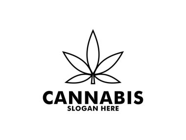 Kenevir yaprağı logosu tasarımı. Vector Hemp modern logo ikonu. CBD yağ marihuana etiketi için logotype