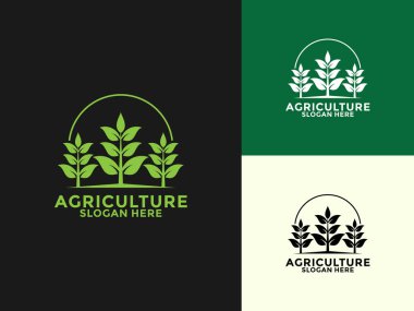 Bitki logosu şablonu, tarım, tarım, çiftlik alanı, doğal hasat, çiftçi ve daha fazlası için vektör logosu tasarımı