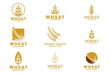 Tarım buğday logo şablonu kümesi, Buğday Kulağı logo simgesi seti