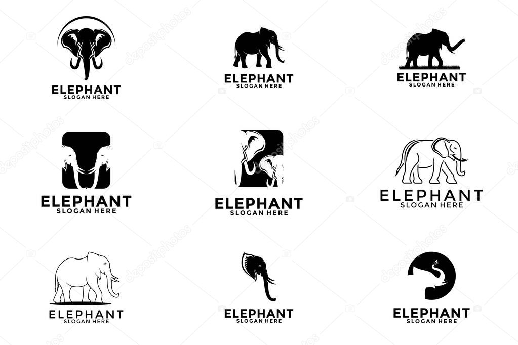 Collections of elephant logo vector icon illustration