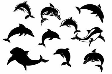 Yunus simgesinin siyah silueti, yunus logosu ve diğerleri için uygun.