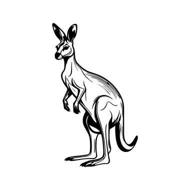 Black silhouettes of kangaroo on a white background styling for your design. vector illustration, isolated objects clipart