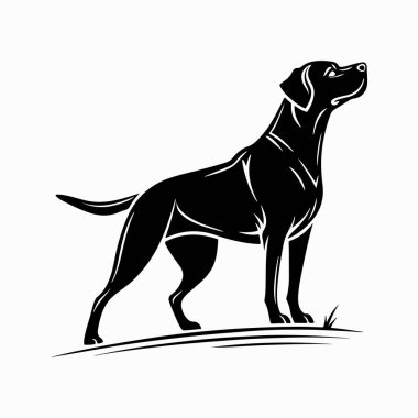 Labrador Retriever köpeği Vector Art illüstrasyonuName
