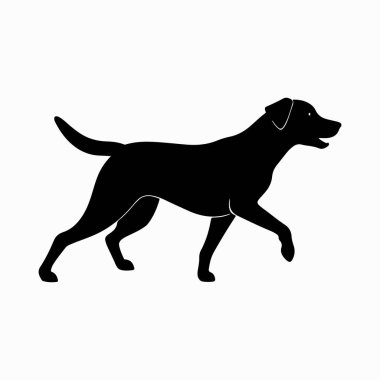 labrador retriever dog Vector Art illustration with a white background