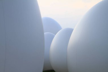 Arazide yeşil çimlerin üzerinde beyaz bir top