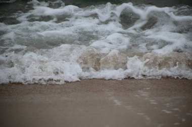 Kumsalda deniz köpüğü dalgası