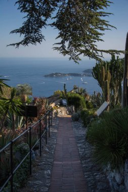 Ağaçlı güzel bir manzara ve ortasında manzaralı bir patika olan bitkiler.. 