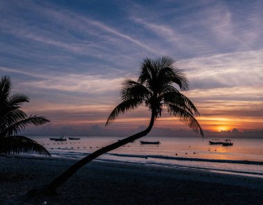 Tulum sahilinde gün batımı, eğimli palmiye siluetiyle