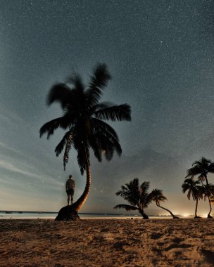 Tulum 'da yıldızlı gökyüzü altında palmiyeleri olan ay ışığı plajı.