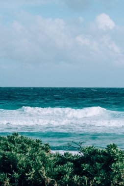 Dalgalı ve yemyeşil sakin deniz manzarası, Cozumel, Meksika
