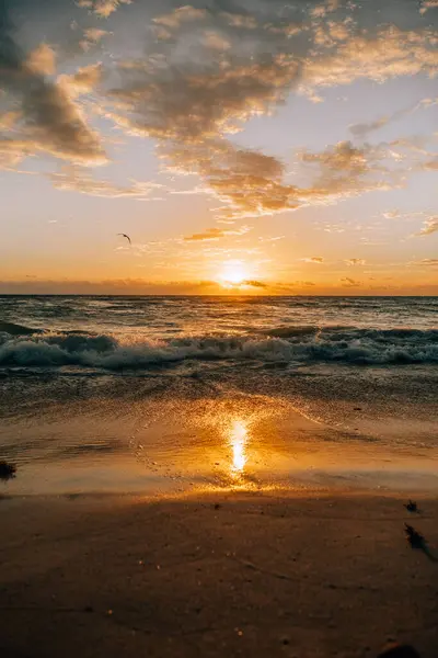 Okyanus üzerinde panoramik günbatımı, Playa Del Carmen, Meksika