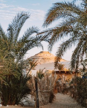 Mısır 'ın Siwa Oasis yakınlarındaki Sahra Sahra' da palmiye ağaçları tarafından çerçevelenmiş bir çöl tepesinin manzarası