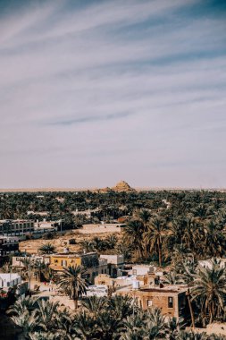 Arka planda çöl tepeleri olan sık palmiye ağaçlarının panoramik manzarası, Siwa Oasis, Mısır.