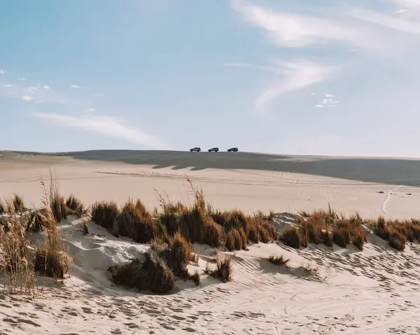 Geniş kumulların tepesindeki off-road araçları açık mavi gökyüzünün altında, Sahra, Siwa Oasis, Mısır