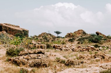 Socotra, Yemen 'deki Hoq Mağarası' na giden yolda manzara